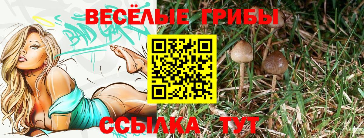 Псилоцибиновые грибы прущие грибы Ахтубинск