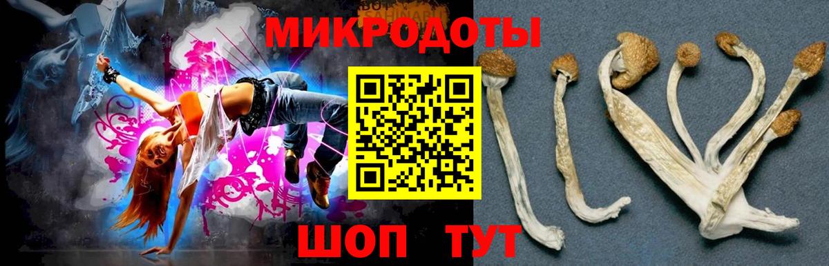Ахтубинск  закладка  Псилоцибиновые грибы GOLDEN TEACHER  Вход с VPN  Галлюциногенные грибы мухоморы 